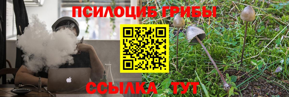Галлюциногенные грибы Psilocybine cubensis Красноуфимск